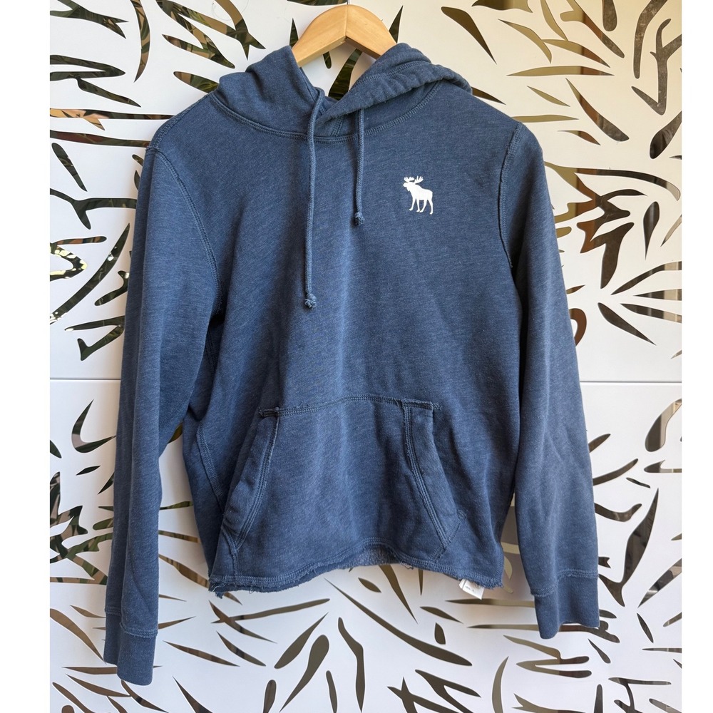 Abercrombie & Fitch Y2K Mens Blue Pullover Fleece Spell Out Hoodie Sweatshirt XS